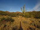 photo thumbnail #2