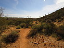 photo thumbnail #8