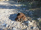 photo thumbnail #1