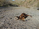photo thumbnail #2