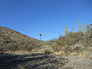 photo thumbnail #3
