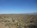 photo thumbnail #5