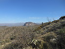 photo thumbnail #6
