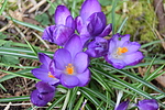 photo thumbnail #9