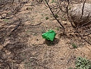 photo thumbnail #7