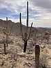 photo thumbnail #9
