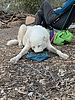 photo thumbnail #3