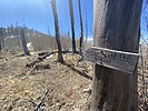 photo thumbnail #5