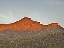 photo thumbnail #2