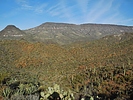 2021-03-07 :3: Cottonwood Loop from Spur Cross :: LosDosSloFolks