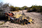 photo thumbnail #5