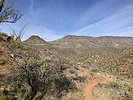 photo thumbnail #6