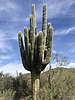 photo thumbnail #12