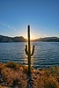 photo thumbnail #7