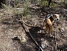 photo thumbnail #4