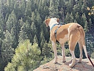 photo thumbnail #11