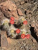 photo thumbnail #8