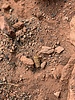 photo thumbnail #12