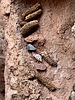 photo thumbnail #15