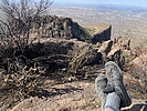 photo thumbnail #4
