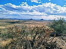 photo thumbnail #4