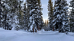 photo thumbnail #14
