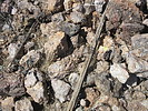 photo thumbnail #11