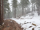 photo thumbnail #3