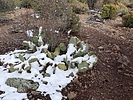 photo thumbnail #6