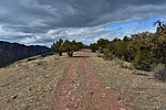 photo thumbnail #6