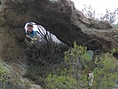 photo thumbnail #15