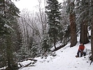 photo thumbnail #5