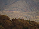 photo thumbnail #13