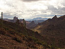photo thumbnail #15