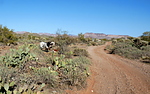 photo thumbnail #9