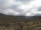 photo thumbnail #2
