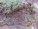 2021-03-14 :2: Fraser - Randolph Loop :: wallyfrack