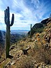 photo thumbnail #5