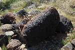 photo thumbnail #1