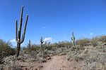 photo thumbnail #6