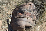 photo thumbnail #12