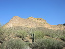 photo thumbnail #8