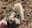 photo thumbnail #8