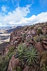 photo thumbnail #12