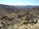 photo thumbnail #2