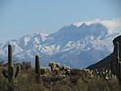 photo thumbnail #1