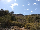 photo thumbnail #10