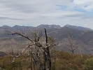 photo thumbnail #7