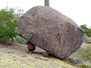photo thumbnail #15
