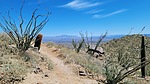 photo thumbnail #5